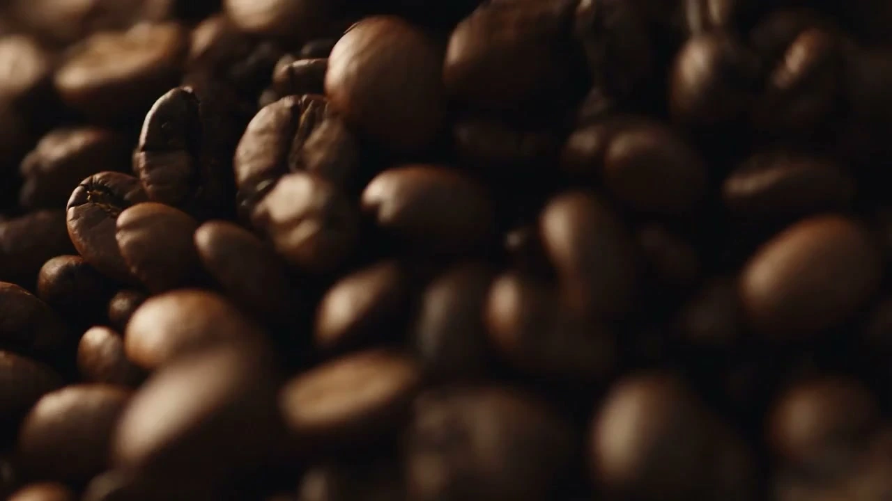 Retail beans and home brewing at Slow Start Coffee